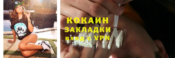 шишки Балабаново