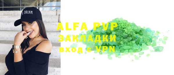 индика Белоозёрский